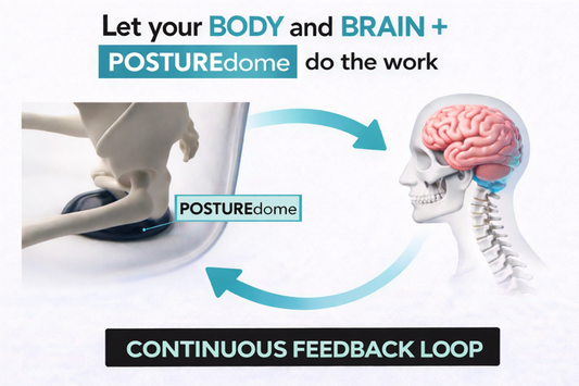 Neural Feedback, POSTUREdome™ and the Brain Why You Forget It’s There — But Your Nervous System Doesn’t