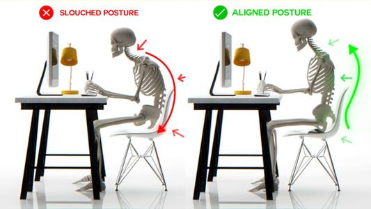 POSTUREdome: Why “Neutral Sitting” just… works